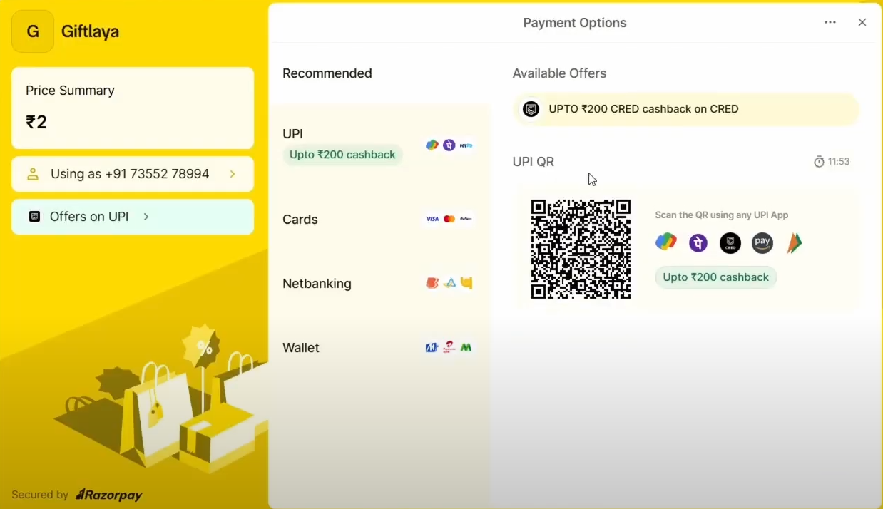 Fake Payment